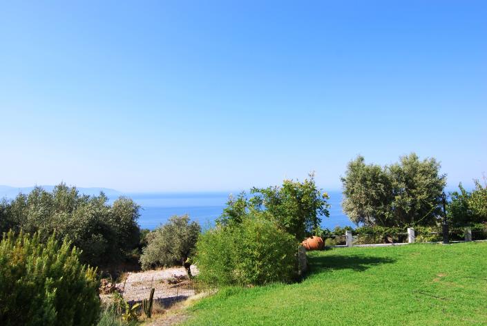 Image No.25-Commercial à vendre à Platies