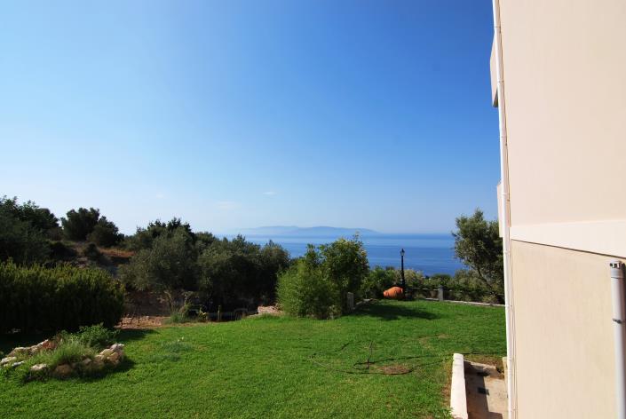 Image No.26-Commercial à vendre à Platies