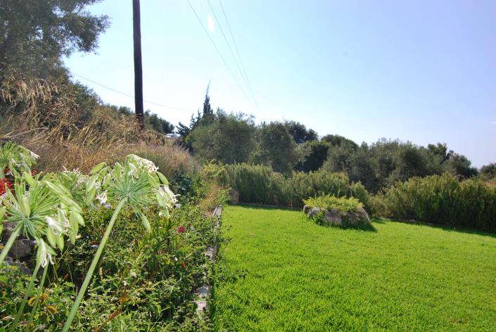 Image No.27-Commercial à vendre à Platies