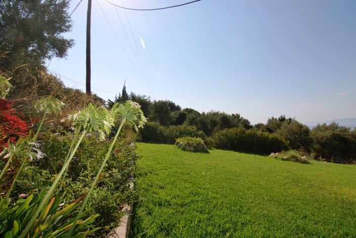 Image No.28-Commercial à vendre à Platies