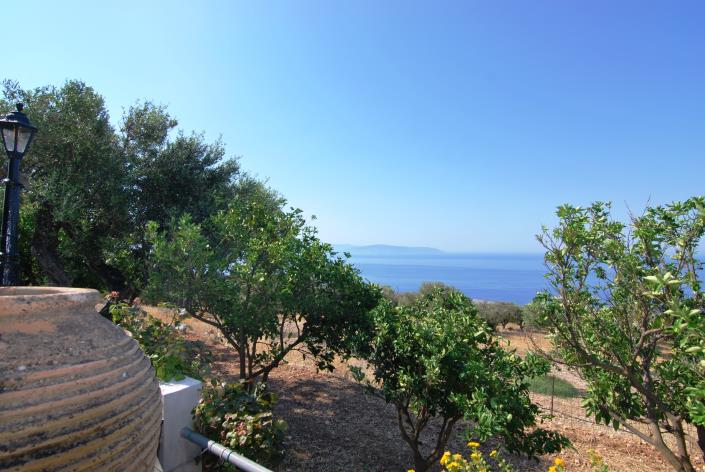 Image No.33-Commercial à vendre à Platies