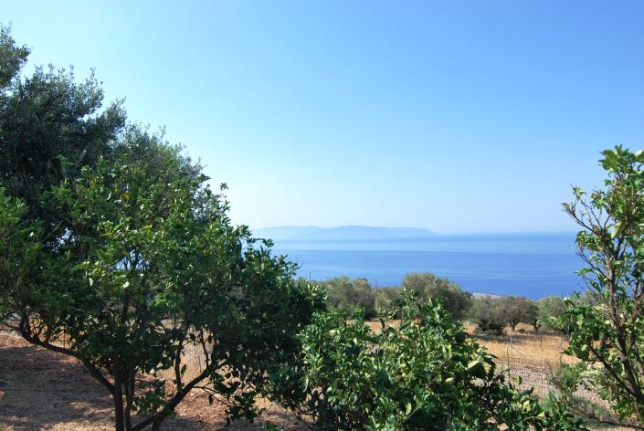 Image No.34-Commercial à vendre à Platies