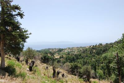 Land_for_sale_in_Ratzakli_Kefalonia--3-