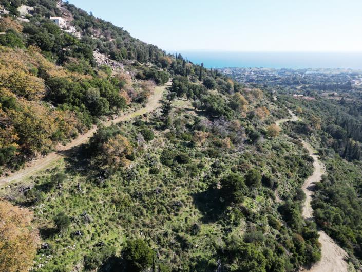 Image No.3-Plot for sale