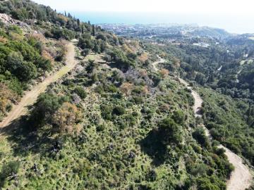 Land_for_sale_in_Old_Skala_Kefalonia--40-