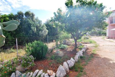 House_for_sale_in_Karavados_Kefalonia--29-