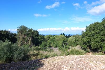 Plot_for_sale_close_to_Fiskardo--9-