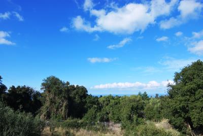 Plot_for_sale_close_to_Fiskardo--14-