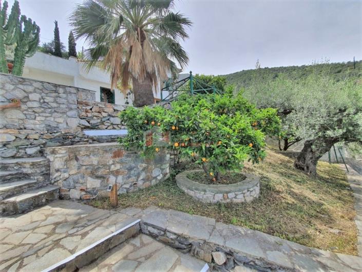 Image No.9-2 Bed House for sale