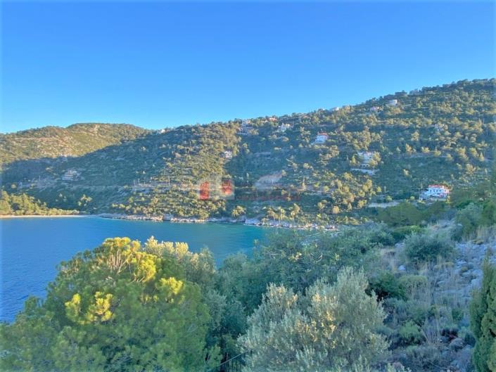 Image No.3-3 Bed House for sale