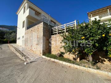 img_7eb3ec38-0800-4ed8-8d0b-165d43b43811