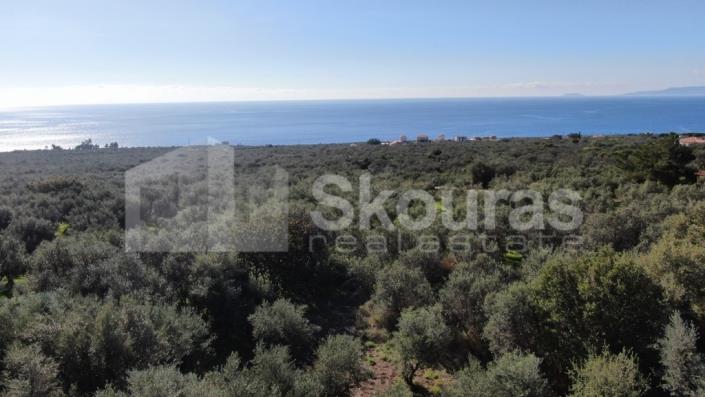 Image No.3-3 Bed House for sale