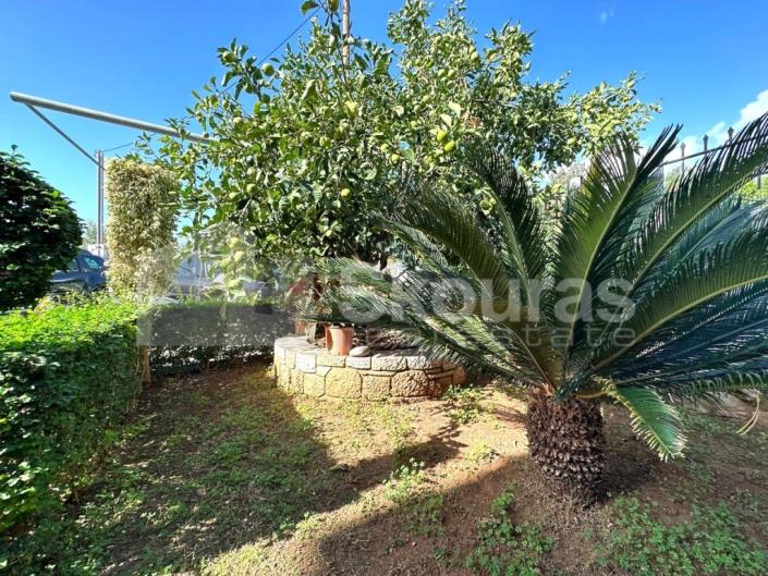 Image No.25-3 Bed House for sale