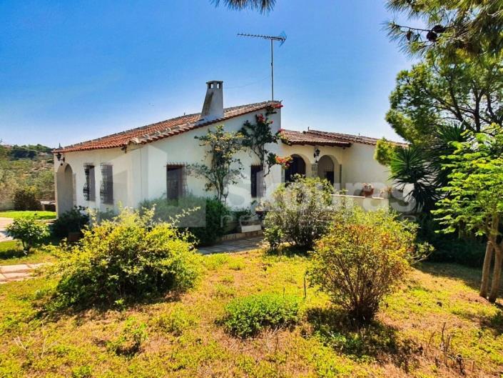 Image No.2-3 Bed House/Villa for sale