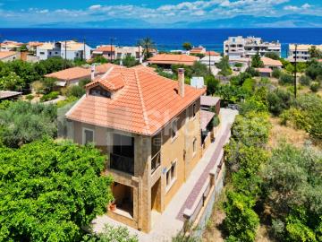 img_92d97486-9e73-412b-8c50-4b383a5a77ac