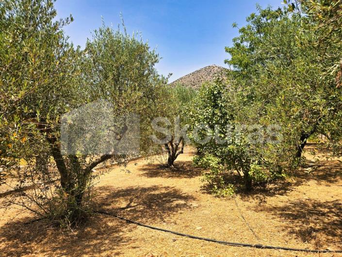 Image No.26-Maison / Villa de 2 chambres à vendre à Kranidi