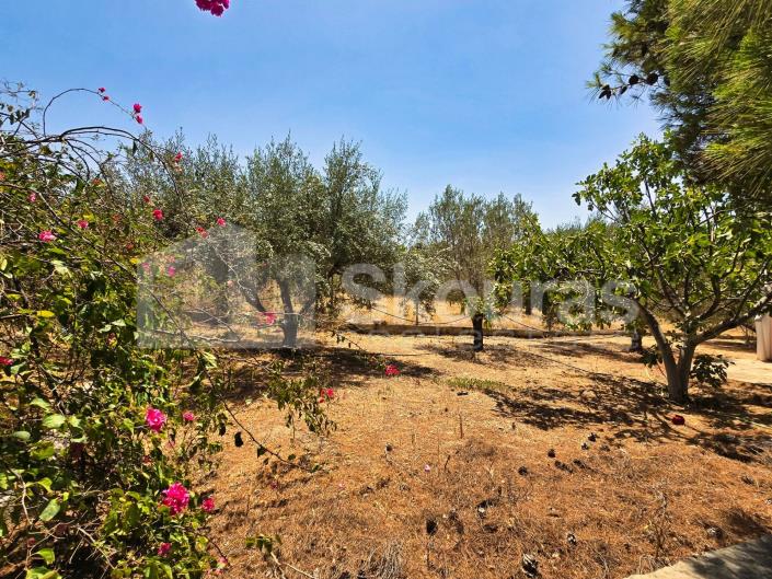 Image No.25-Maison / Villa de 2 chambres à vendre à Kranidi