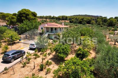 img_b75bbdf5-e5ed-4d31-a7a7-0f564e6dc6a9