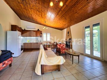 img_d25360d8-b26e-40e8-be36-5b2767d16815