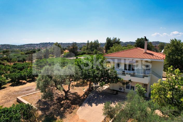 Image No.3-4 Bed House/Villa for sale