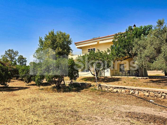 Image No.19-4 Bed House/Villa for sale