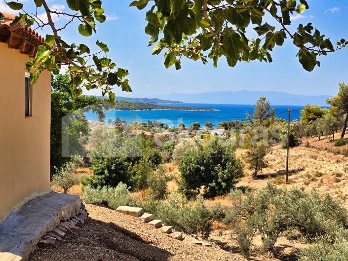 Image No.21-Maison / Villa de 2 chambres à vendre à Kranidi