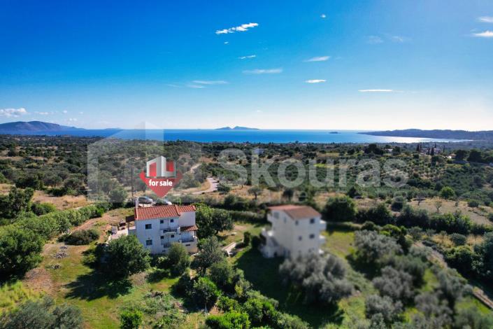 Image No.27-Maison / Villa de 4 chambres à vendre à Kranidi