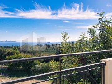 5678d05215b141cc917e0e77de6e76be