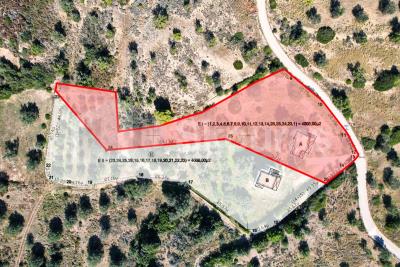 ca3a825b27944de88aca3d65aec402ee