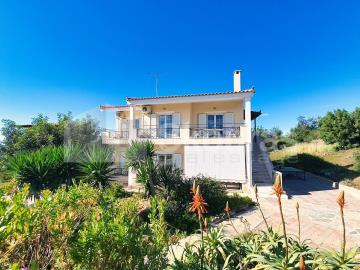 e5ddc914c88c4b0e968db5ce228648ea