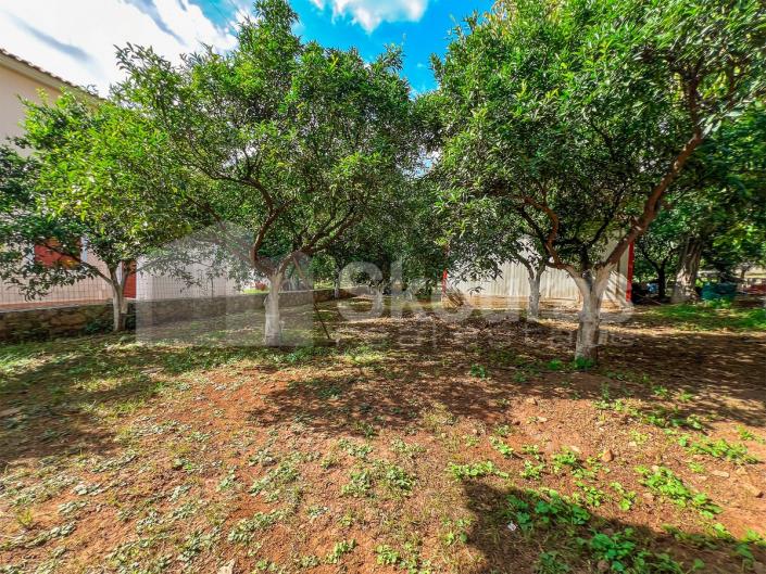 Image No.9-3 Bed House for sale