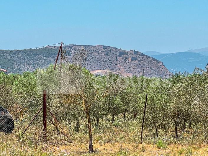 Image No.24-3 Bed House for sale