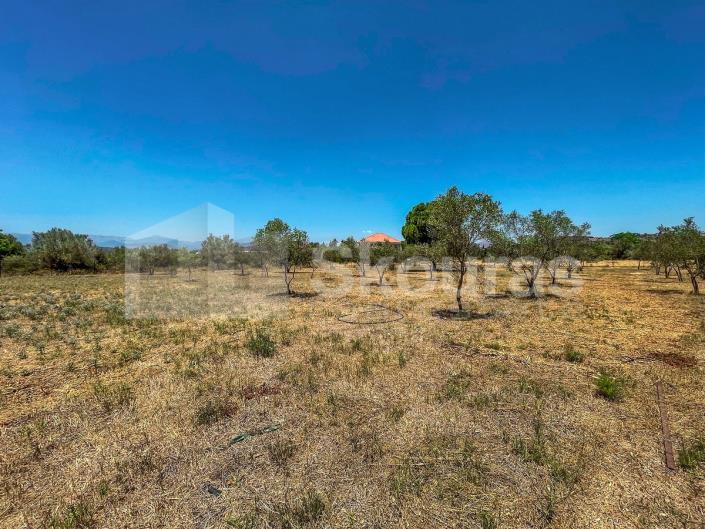 Image No.20-3 Bed House for sale