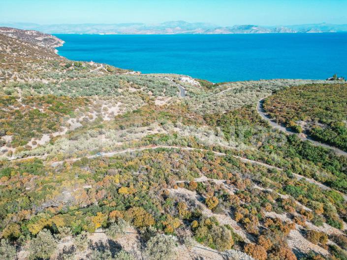 Image No.30-3 Bed House for sale