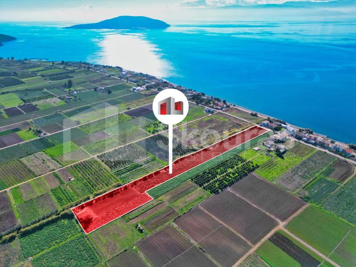 Image No.5-Maison de 2 chambres à vendre à Asini