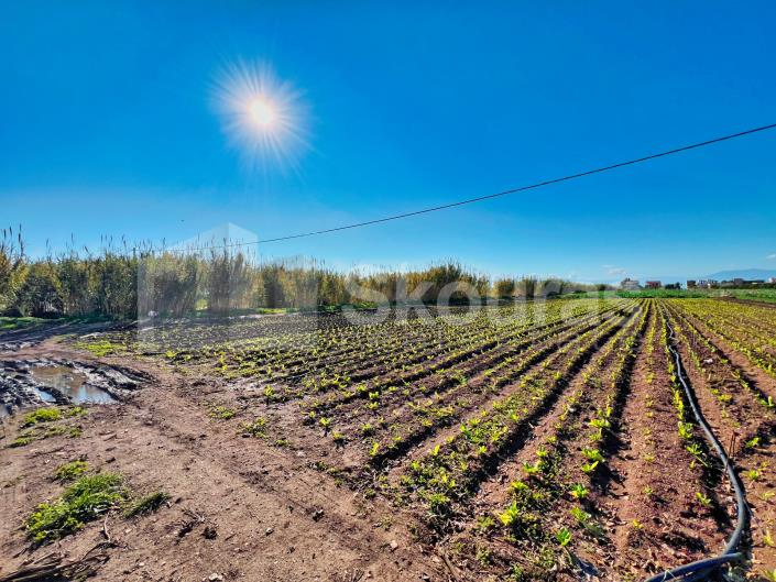 Image No.16-Maison de 2 chambres à vendre à Asini