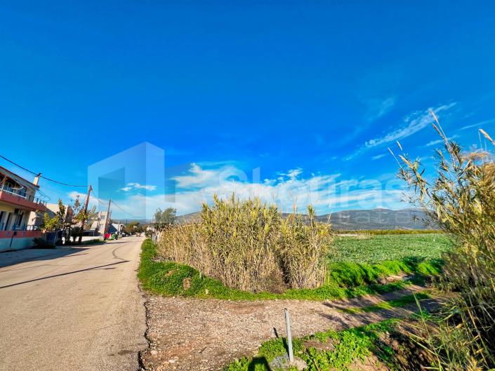 Image No.19-Maison de 2 chambres à vendre à Asini