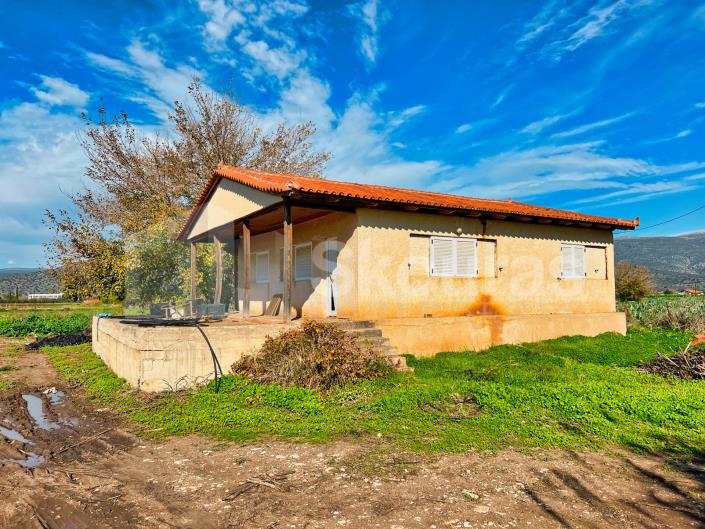Image No.18-Maison de 2 chambres à vendre à Asini