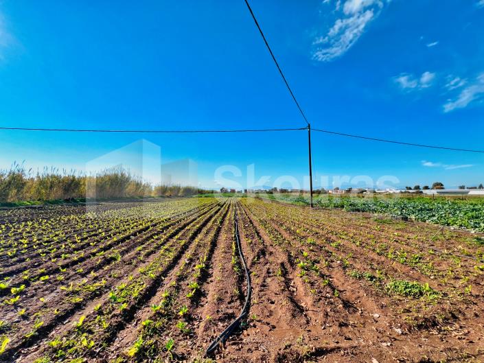 Image No.11-Maison de 2 chambres à vendre à Asini