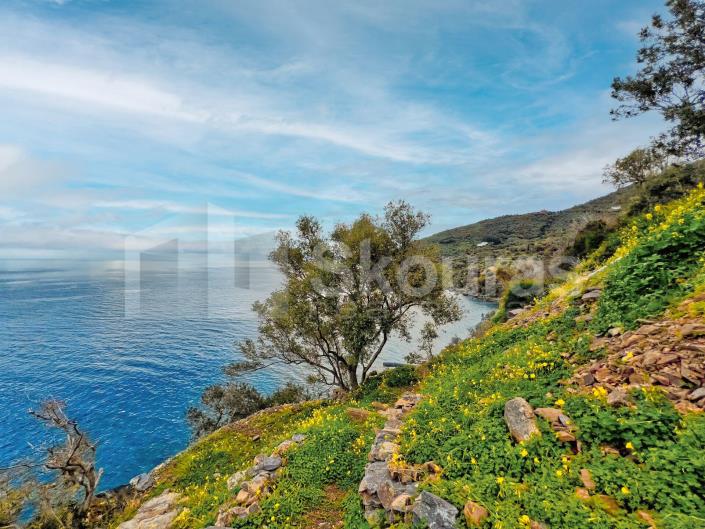 Image No.28-Maison / Villa de 6 chambres à vendre à Pera Melana