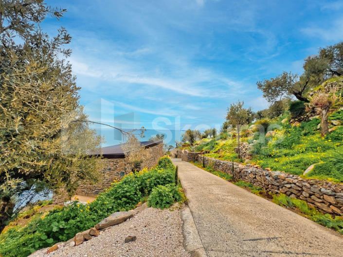 Image No.30-Maison / Villa de 6 chambres à vendre à Pera Melana