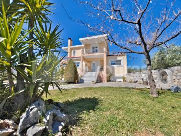 3d5d776f03a04c8f92daa30344f70bf8