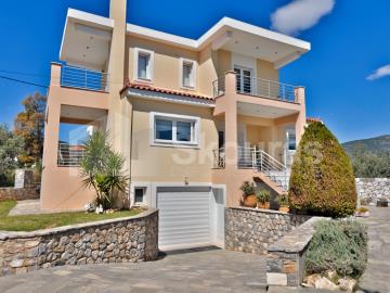 e347bbb3694443caab7c6d274fa2ac1b