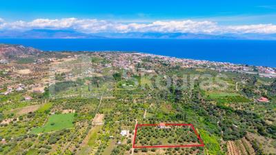 660be8c69fb64d139aa818f366bba250