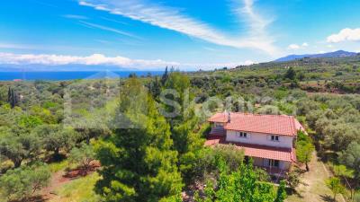 a5f2402777e1464083e0452a27978589