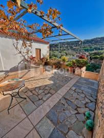 c28ae7e6a58141a4ad0d66a1024ec9fe