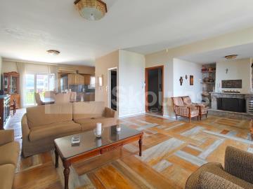 560527c248224504bf0ebd678ee158f5