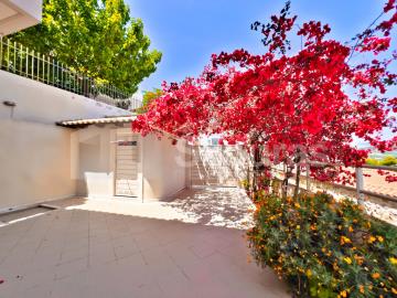 92474127d0a441c98a2a37560226a209