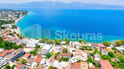 a1e101afb5564056ba00d5ac49656f7b