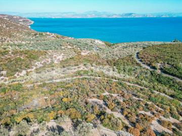 0c80c96ec4db4b53a60b0b66fdfe375f